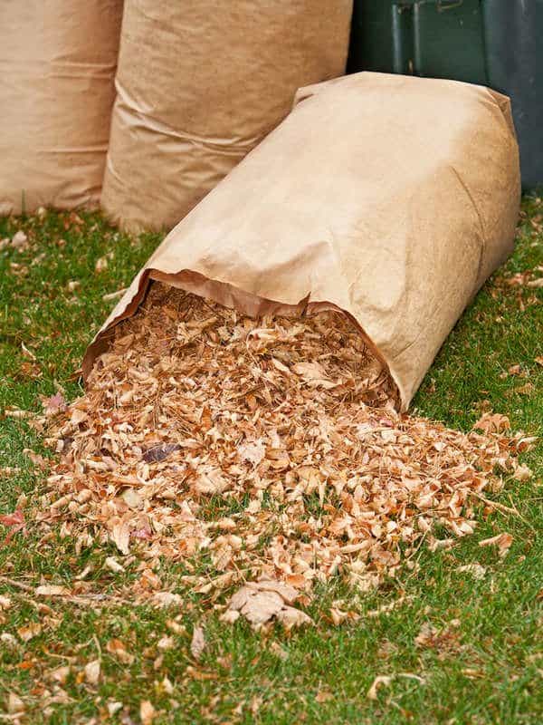 bag-of-leaves Fall Leaf Cleanup Services: Bagged-Up Leaves Ready for Disposal